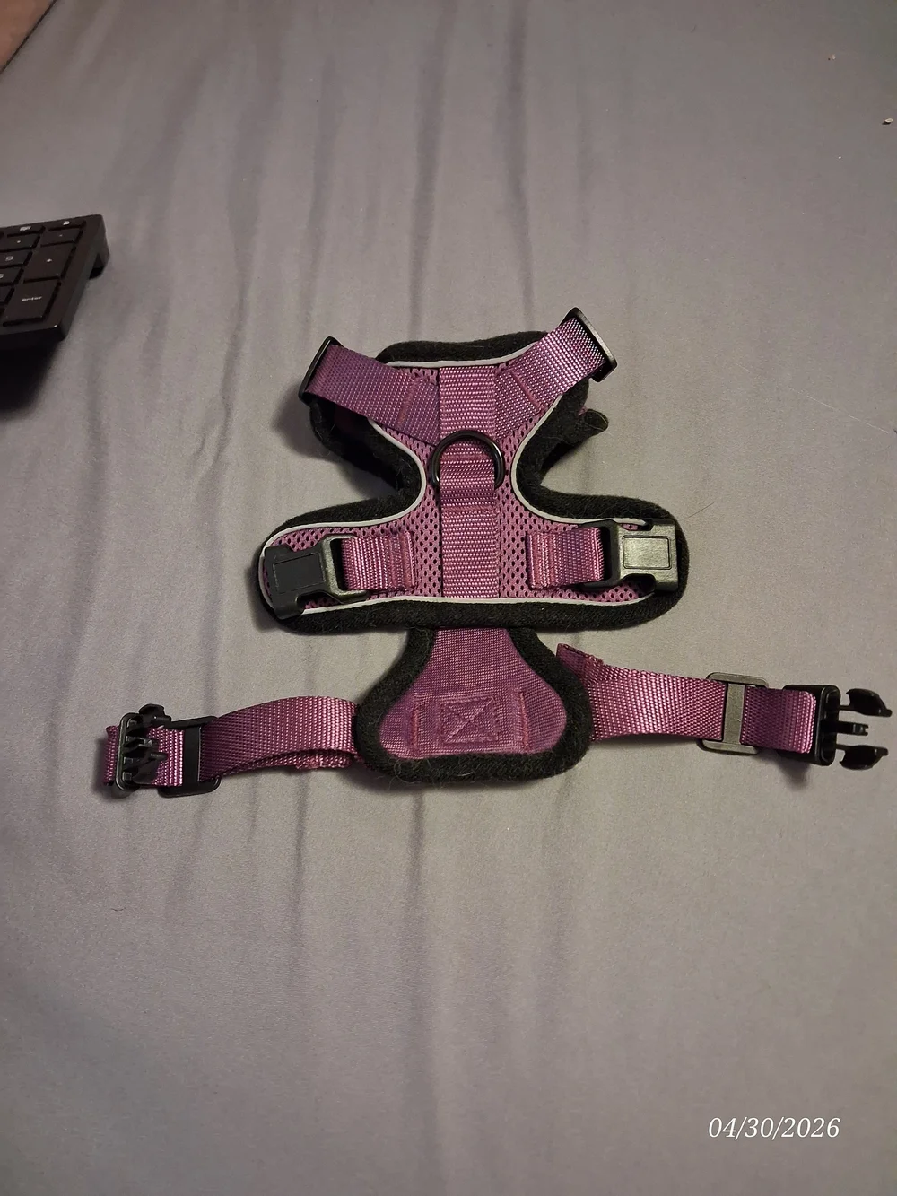 rabbitgoo Purple Padded Cat Harness - Adjustable Comfort Fit